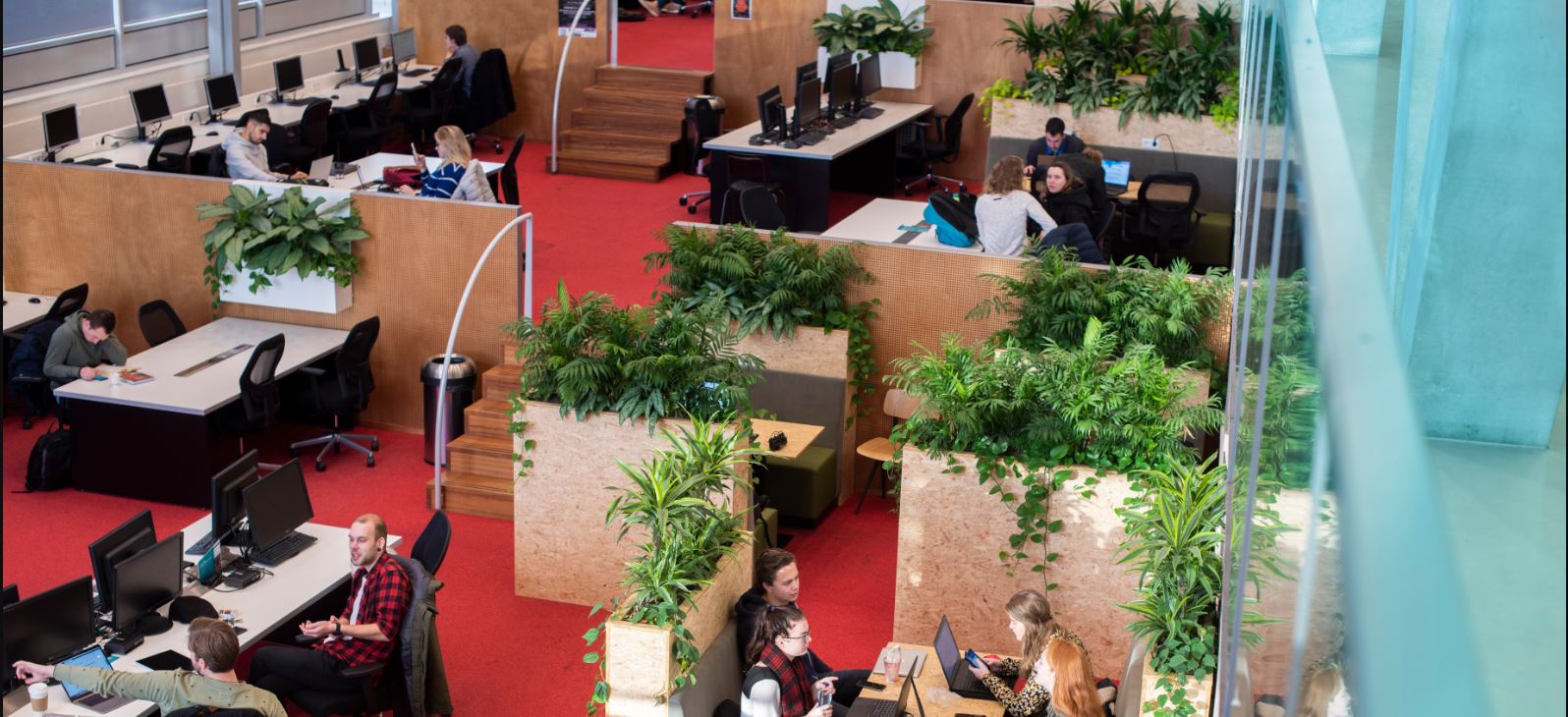 NHL Stenden Hogeschool Academie Gezondheid & Welzijn